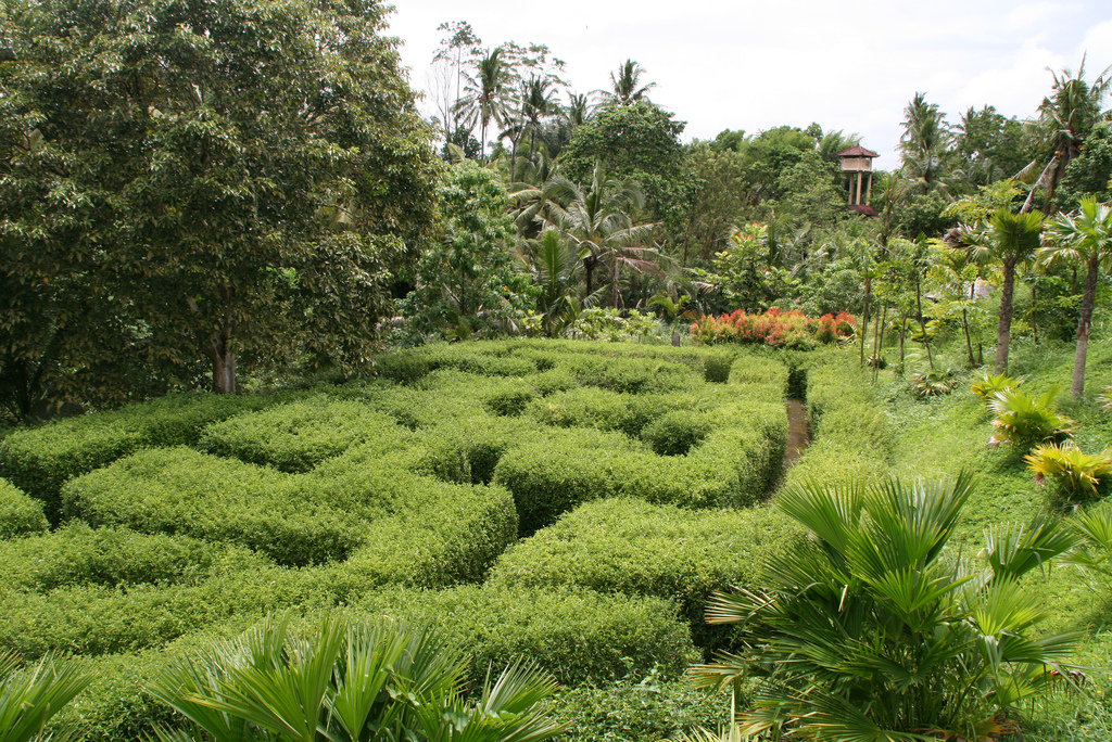 Ubud Botanical Garden